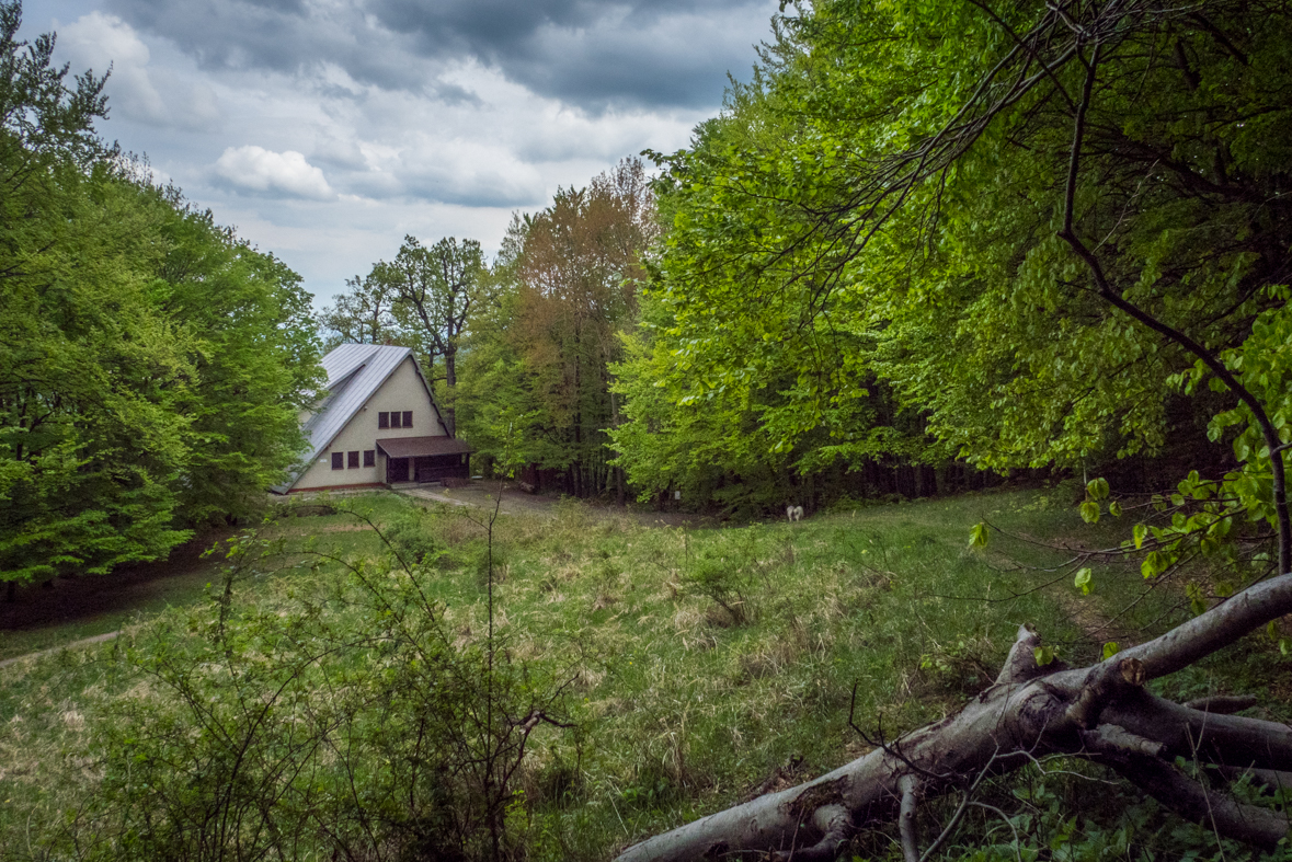 Veľký Milič z Izry (Slanské vrchy)