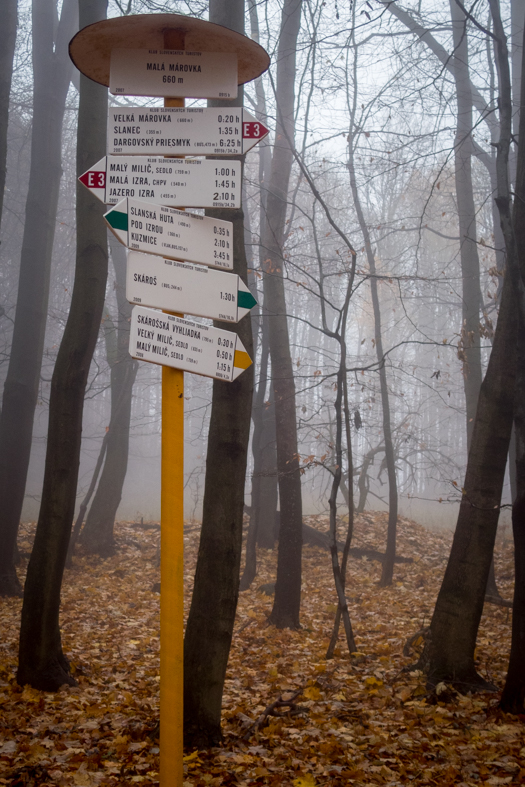 Veľký Milič zo Slanskej Huty (Slanské vrchy)