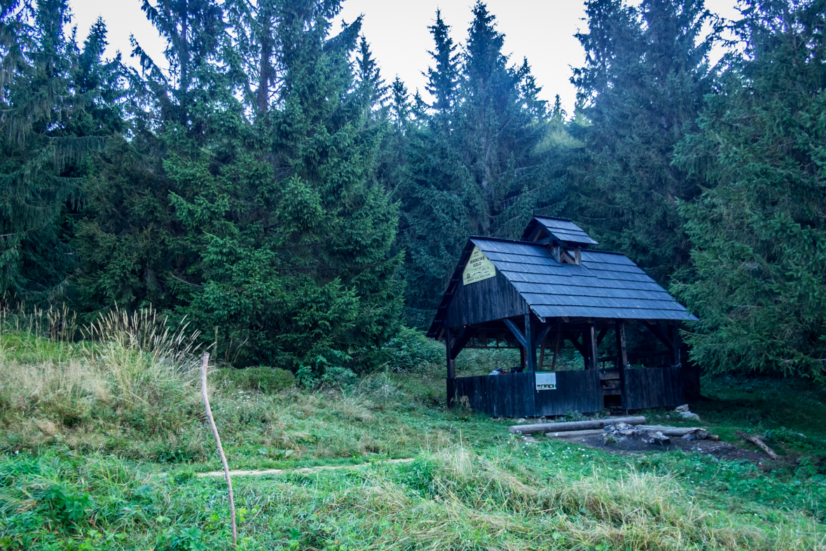 Z Hiadeľského sedla na útulňu Ďurková (Nízke Tatry)