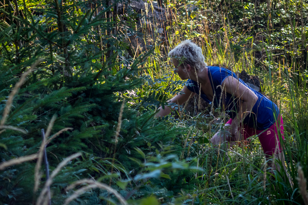 Z Hiadeľského sedla na útulňu Ďurková (Nízke Tatry)