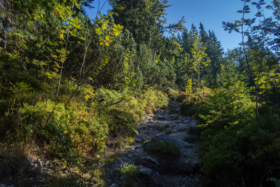 Z Hiadeľského sedla na útulňu Ďurková (Nízke Tatry)