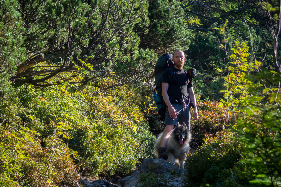 Z Hiadeľského sedla na útulňu Ďurková (Nízke Tatry)