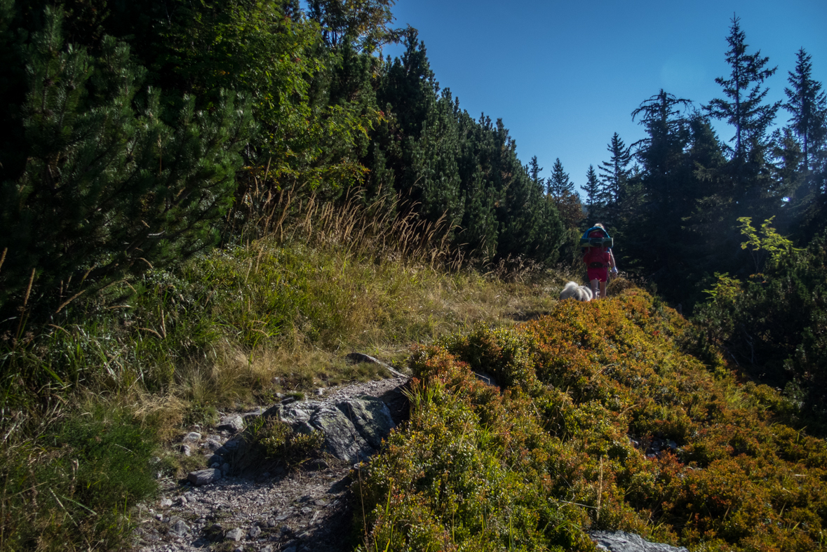 Z Hiadeľského sedla na útulňu Ďurková (Nízke Tatry)