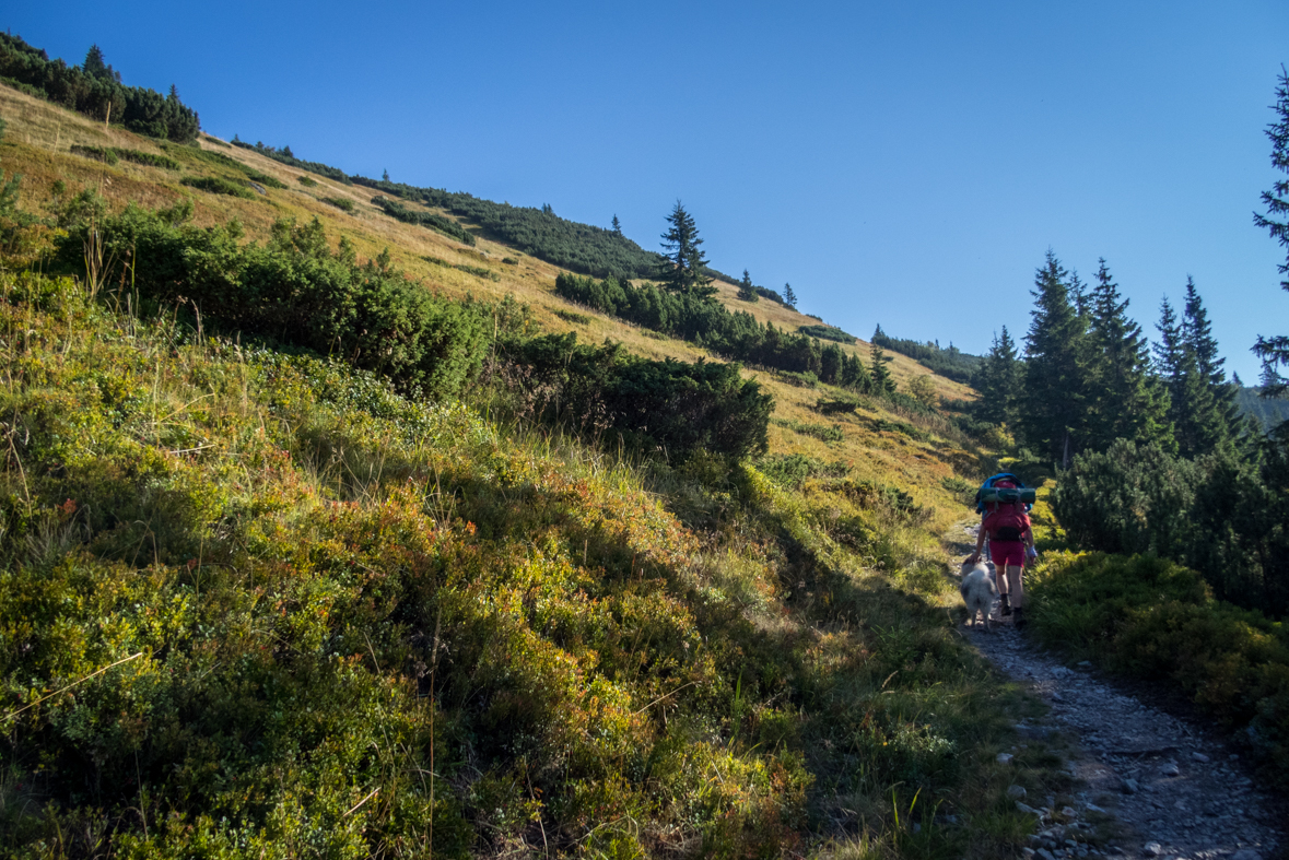 Z Hiadeľského sedla na útulňu Ďurková (Nízke Tatry)