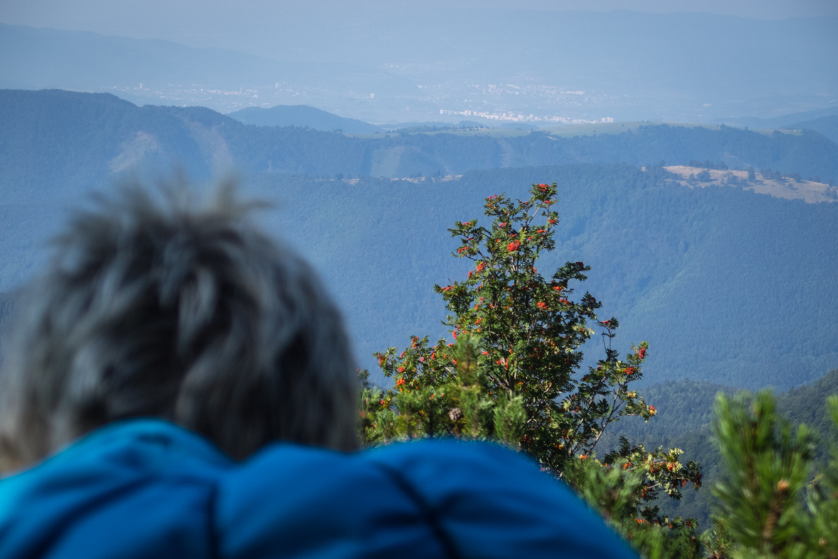 Z Hiadeľského sedla na útulňu Ďurková (Nízke Tatry)