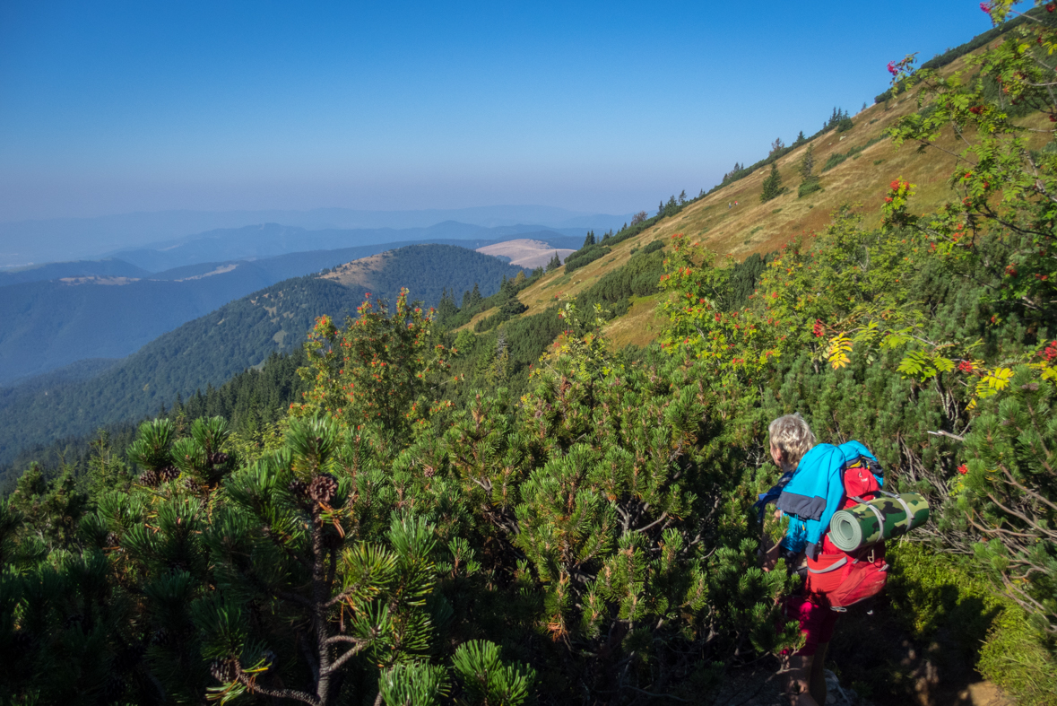 Z Hiadeľského sedla na útulňu Ďurková (Nízke Tatry)