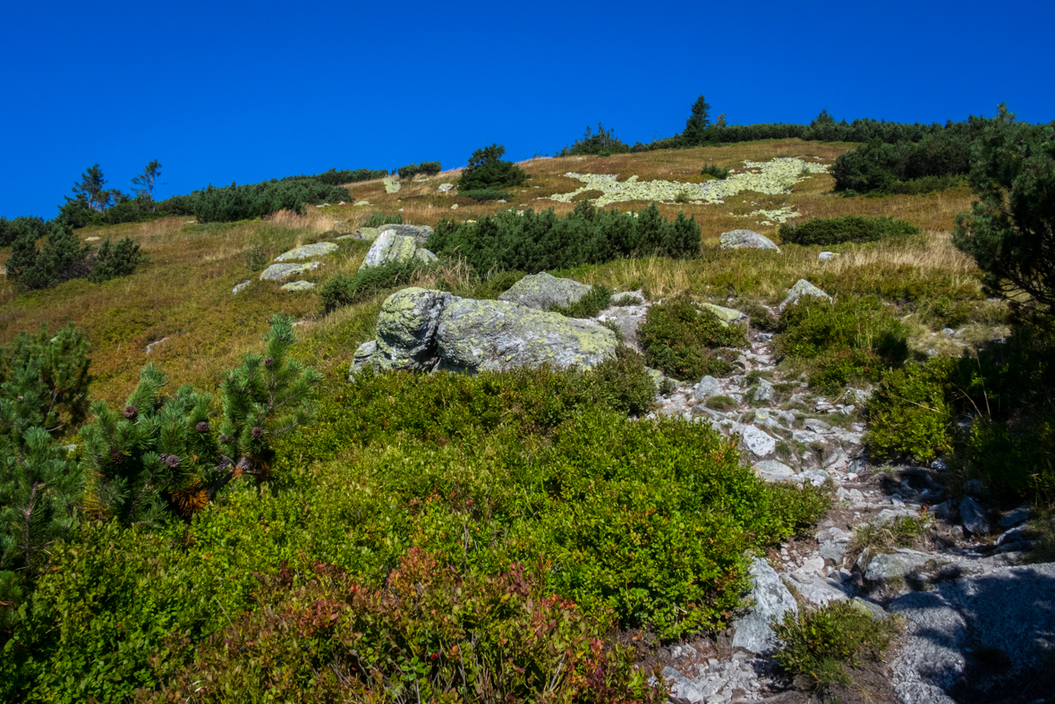 Z Hiadeľského sedla na útulňu Ďurková (Nízke Tatry)