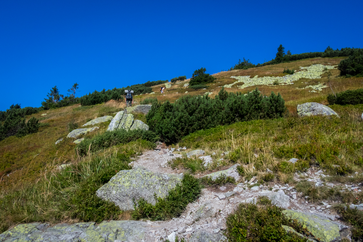 Z Hiadeľského sedla na útulňu Ďurková (Nízke Tatry)