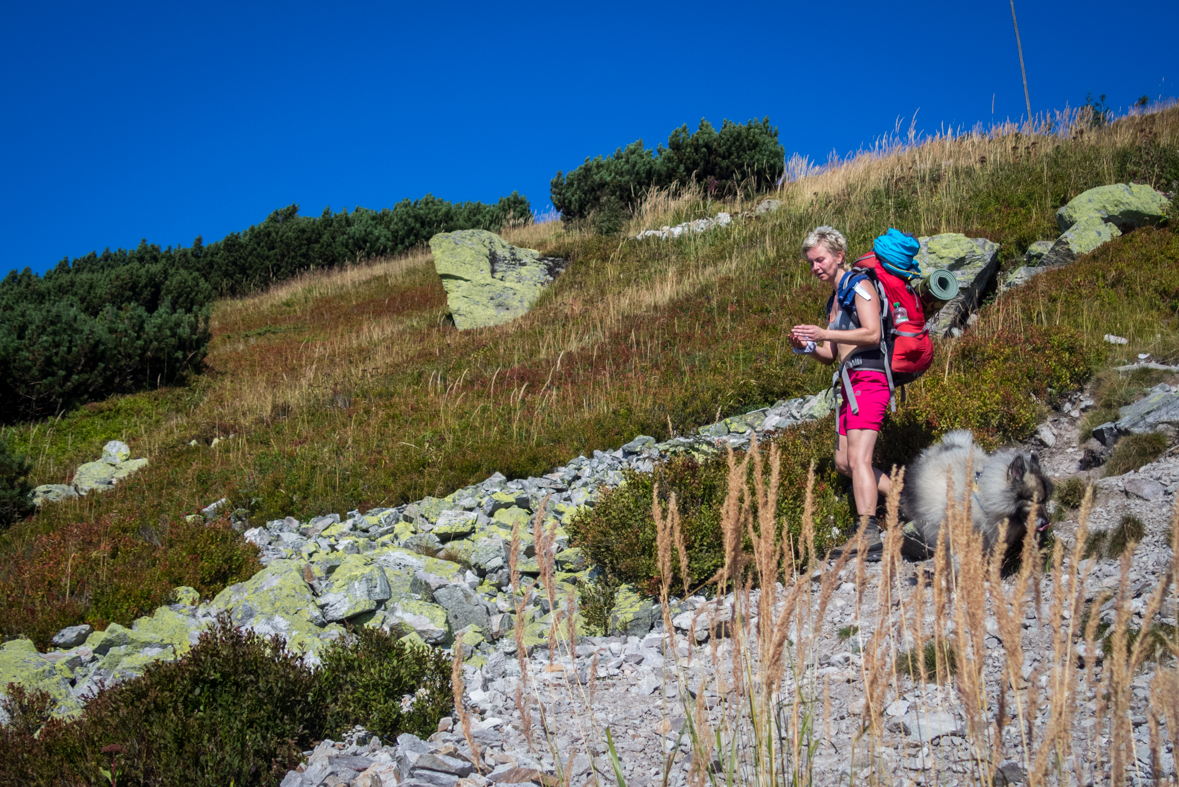 Z Hiadeľského sedla na útulňu Ďurková (Nízke Tatry)