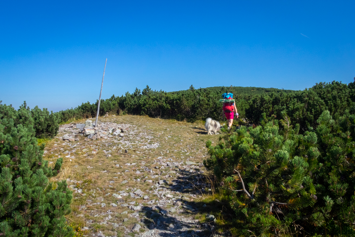 Z Hiadeľského sedla na útulňu Ďurková (Nízke Tatry)