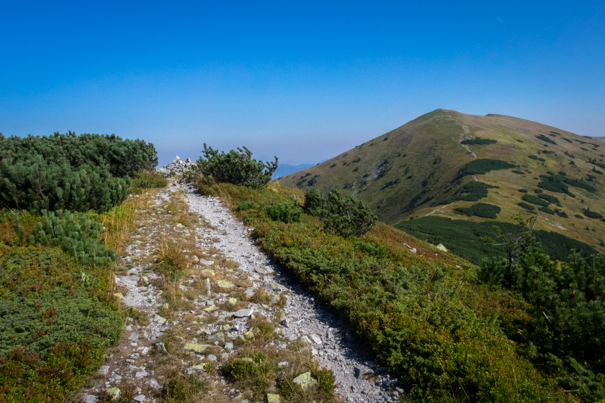 Z Hiadeľského sedla na útulňu Ďurková (Nízke Tatry)