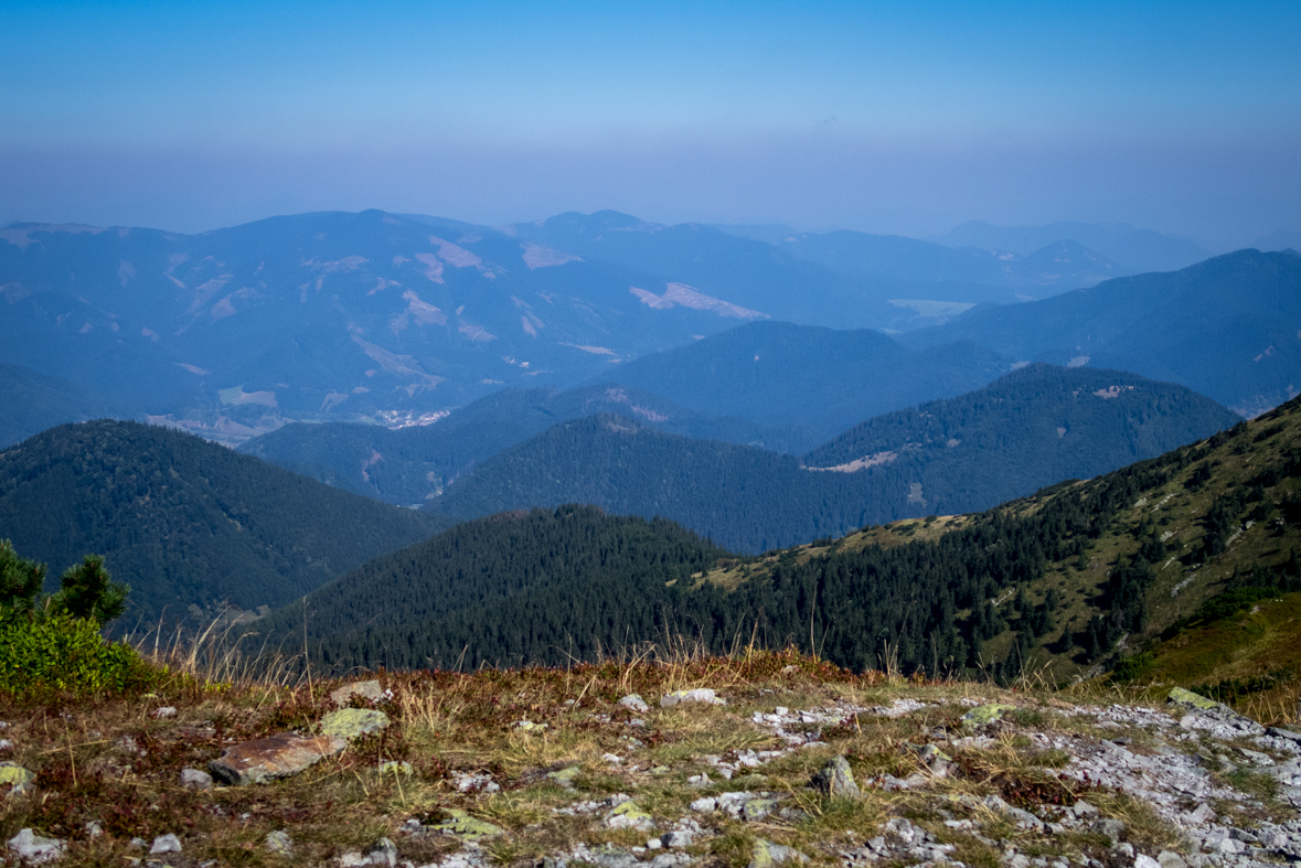 Z Hiadeľského sedla na útulňu Ďurková (Nízke Tatry)