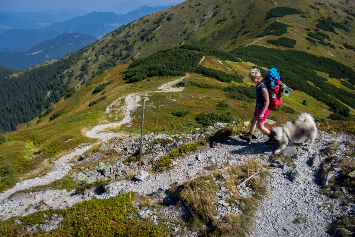 Z Hiadeľského sedla na útulňu Ďurková (Nízke Tatry)