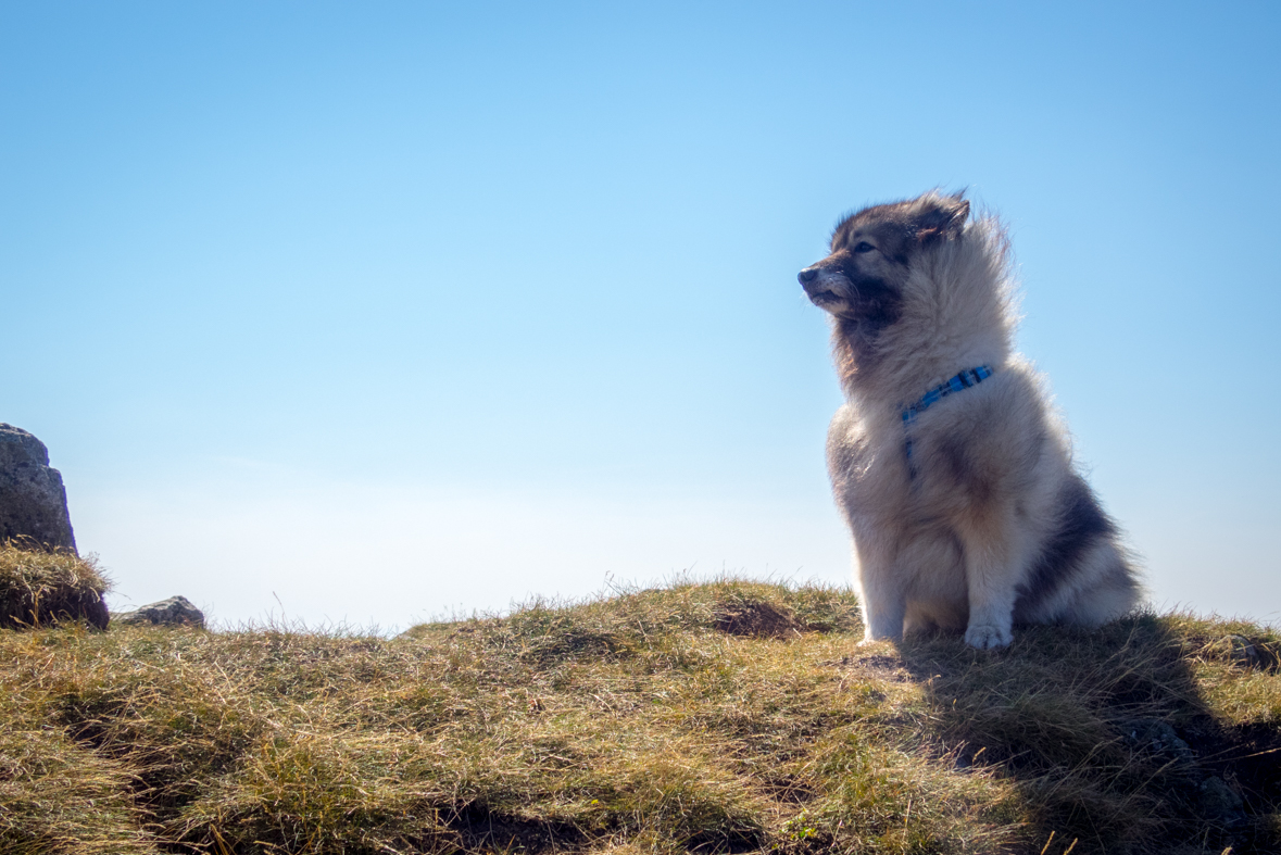 Z Hiadeľského sedla na útulňu Ďurková (Nízke Tatry)