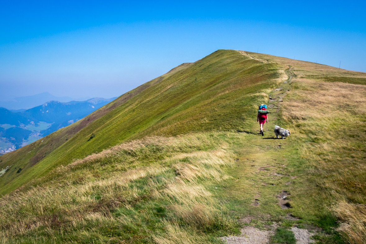 Z Hiadeľského sedla na útulňu Ďurková (Nízke Tatry)