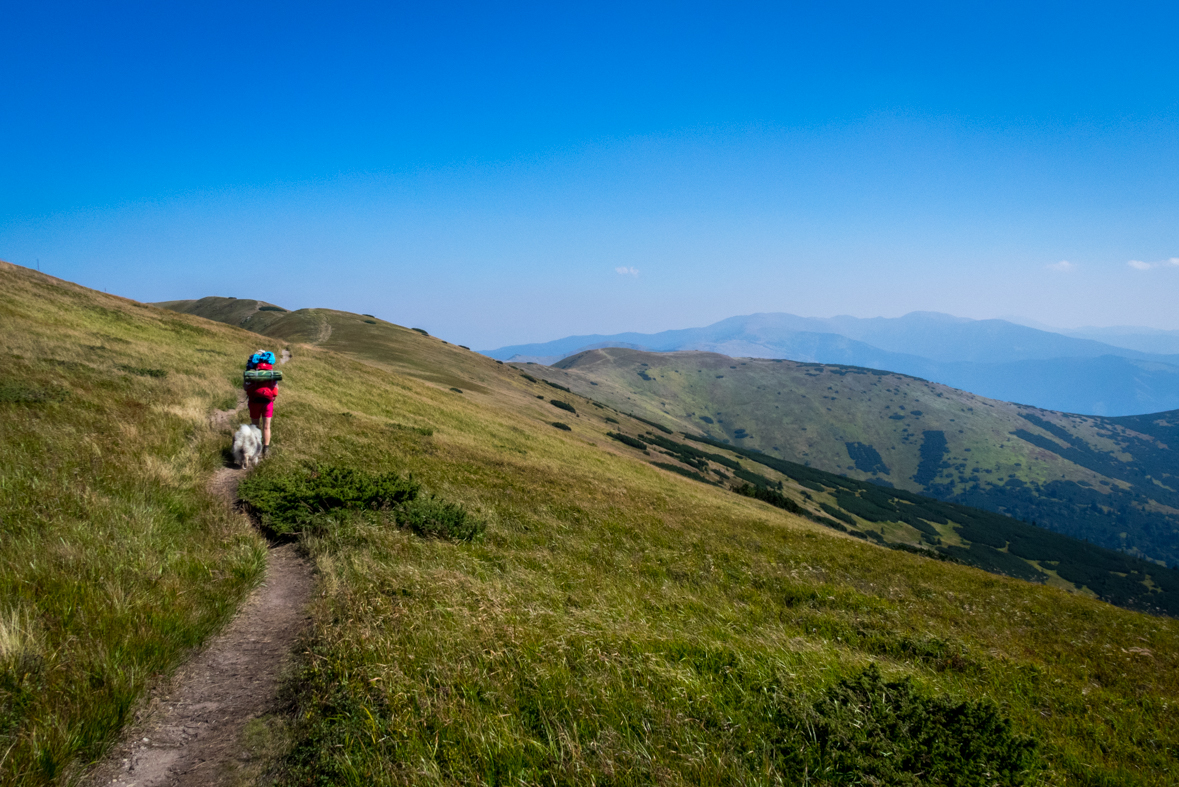 Z Hiadeľského sedla na útulňu Ďurková (Nízke Tatry)