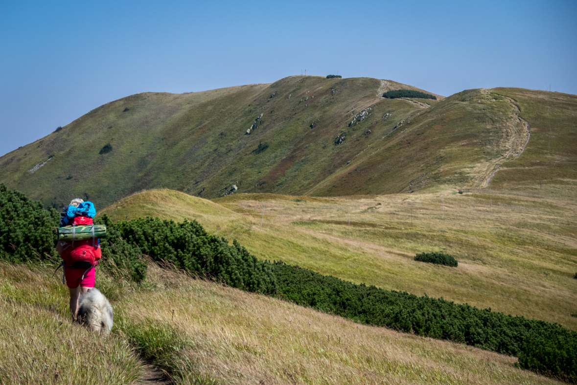 Z Hiadeľského sedla na útulňu Ďurková (Nízke Tatry)