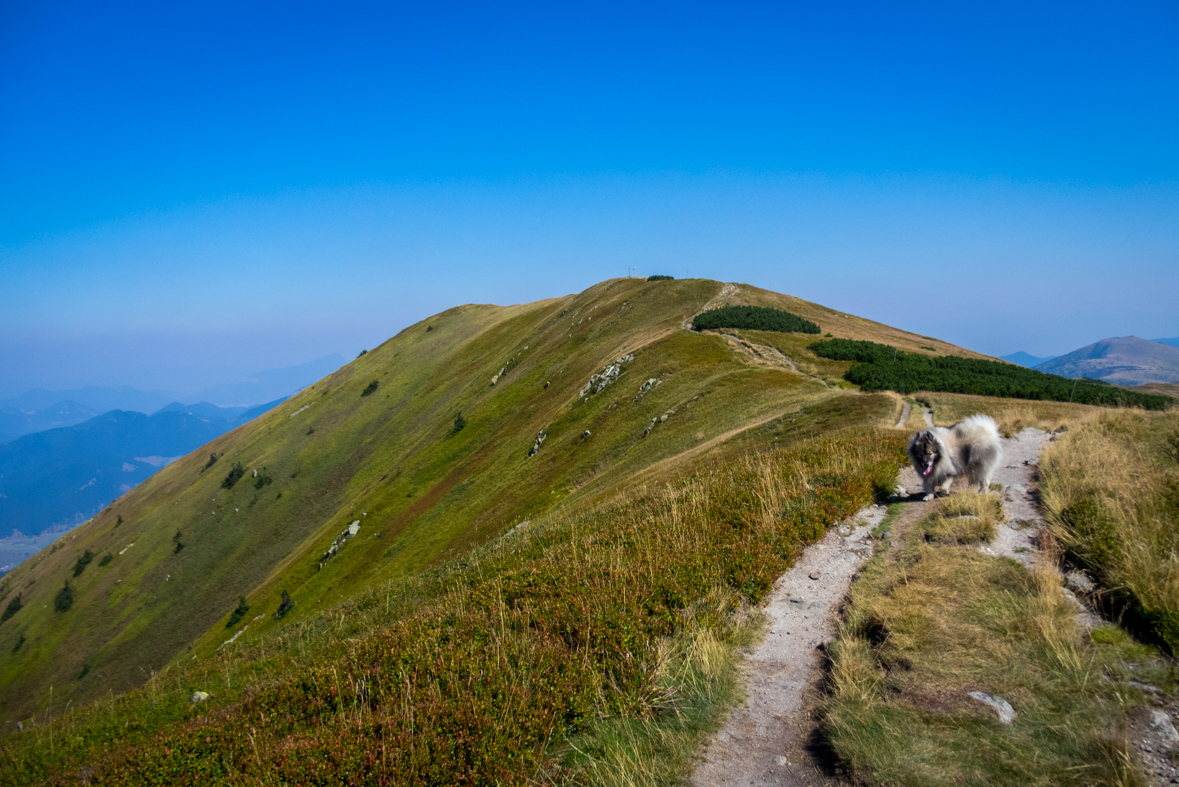 Z Hiadeľského sedla na útulňu Ďurková (Nízke Tatry)