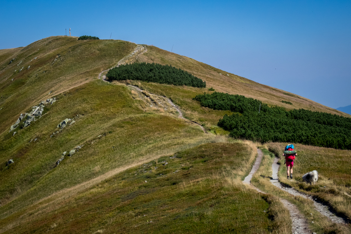 Z Hiadeľského sedla na útulňu Ďurková (Nízke Tatry)