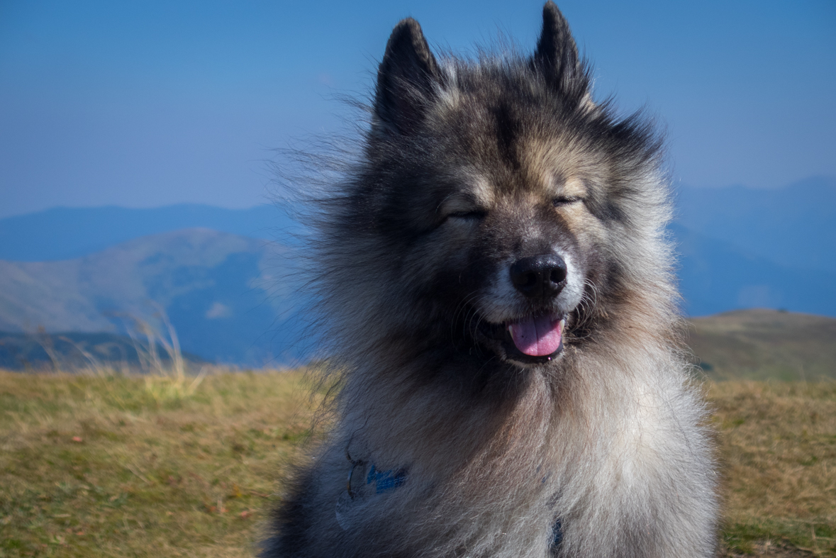 Z Hiadeľského sedla na útulňu Ďurková (Nízke Tatry)