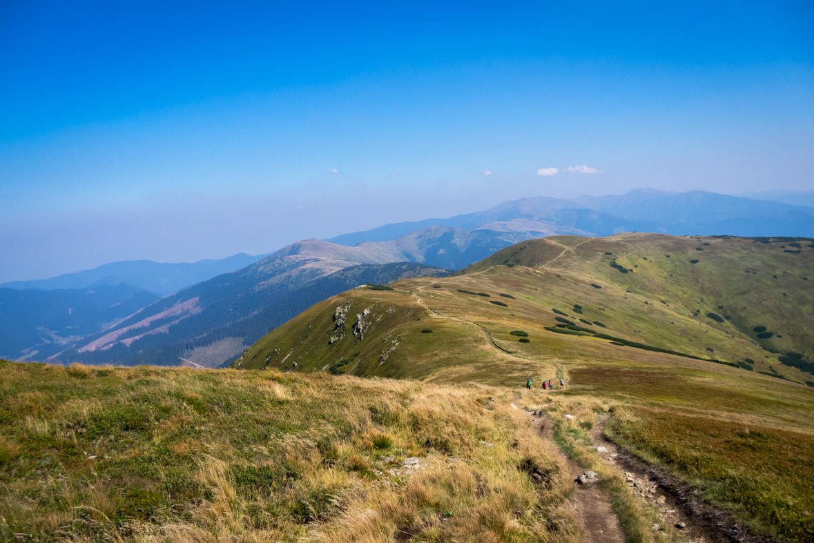 Z Hiadeľského sedla na útulňu Ďurková (Nízke Tatry)