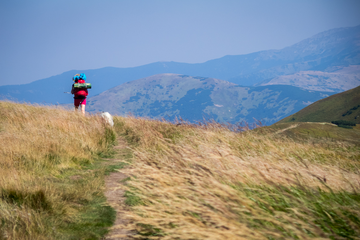 Z Hiadeľského sedla na útulňu Ďurková (Nízke Tatry)