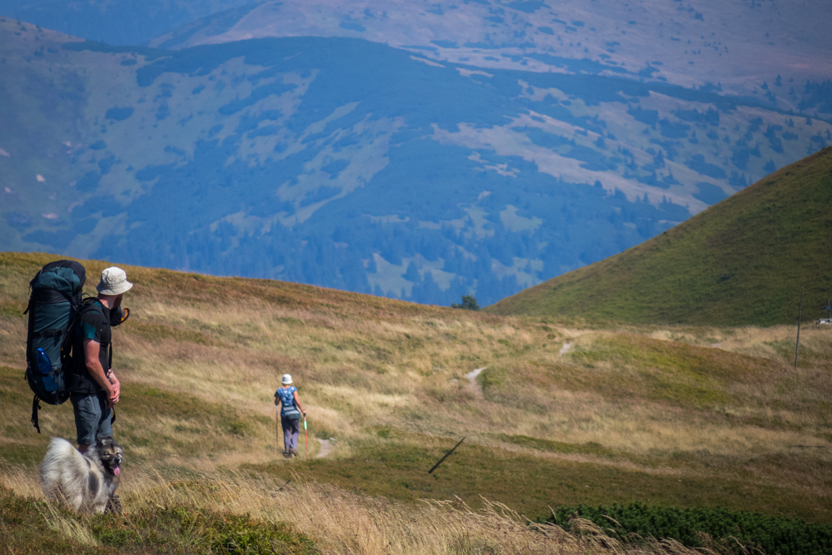 Z Hiadeľského sedla na útulňu Ďurková (Nízke Tatry)