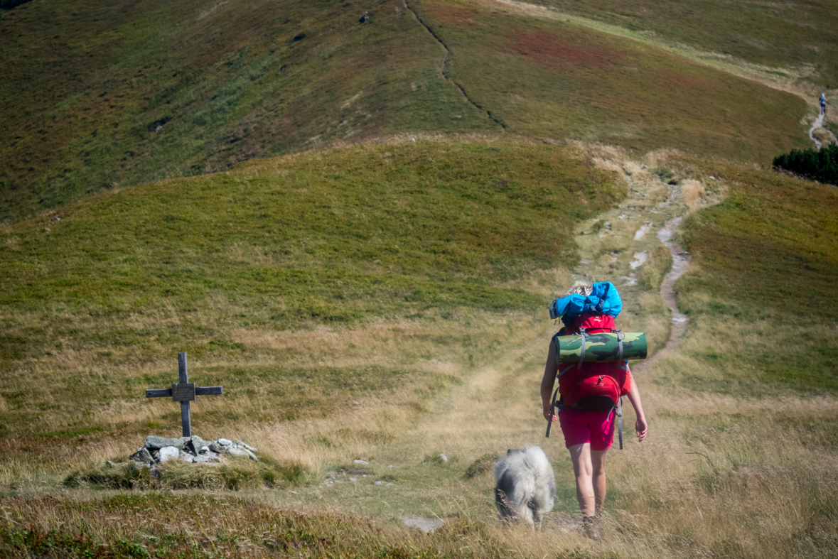 Z Hiadeľského sedla na útulňu Ďurková (Nízke Tatry)