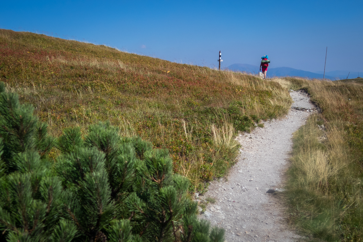 Z Hiadeľského sedla na útulňu Ďurková (Nízke Tatry)