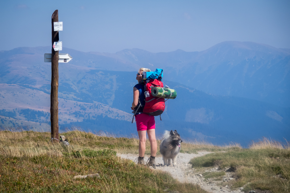 Z Hiadeľského sedla na útulňu Ďurková (Nízke Tatry)