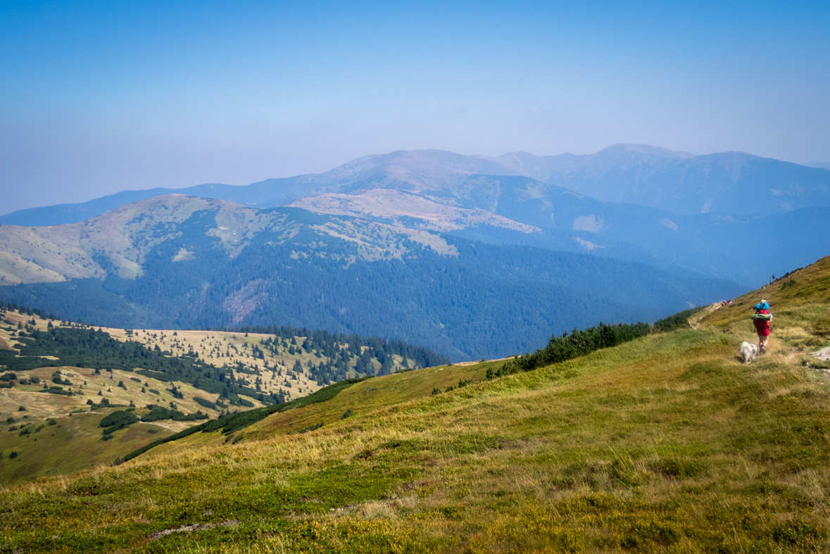 Z Hiadeľského sedla na útulňu Ďurková (Nízke Tatry)