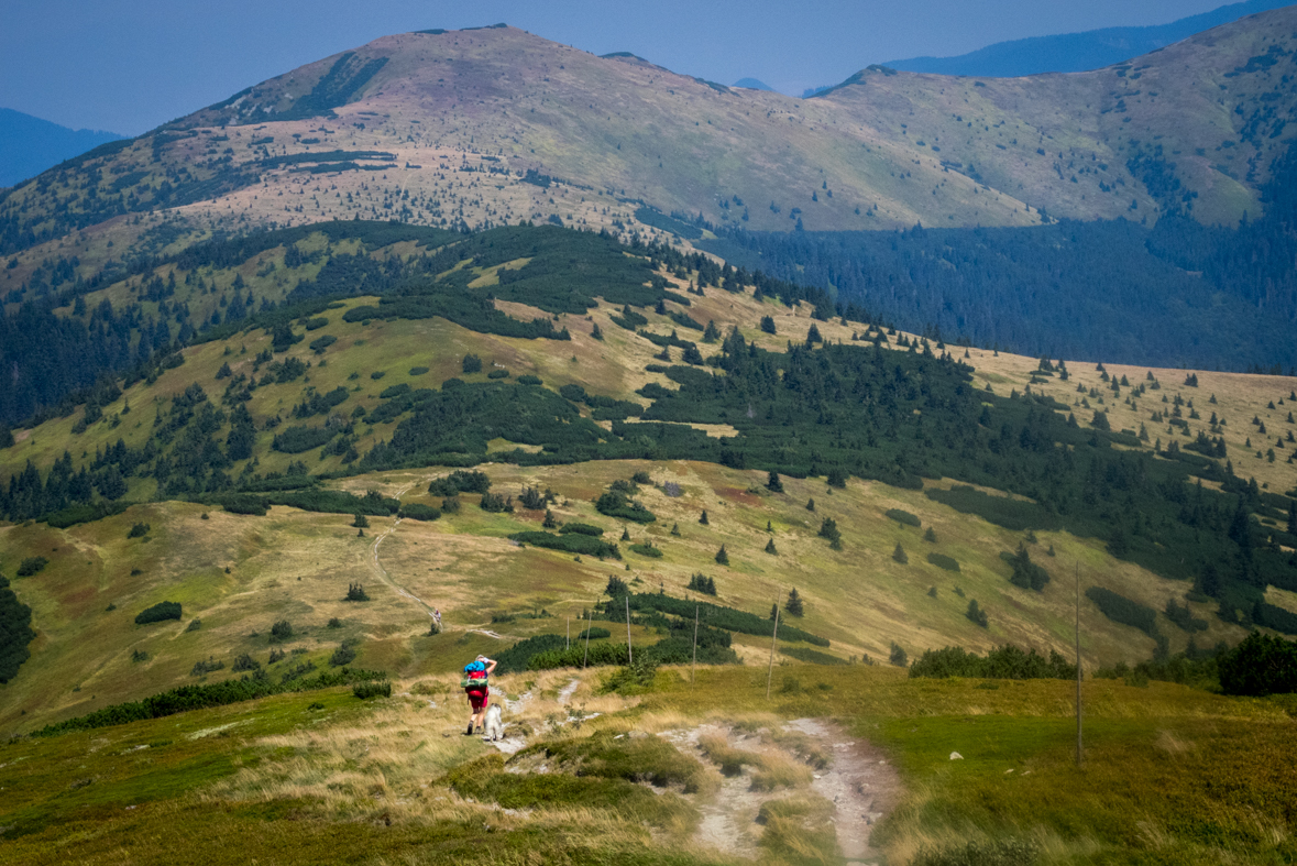 Z Hiadeľského sedla na útulňu Ďurková (Nízke Tatry)