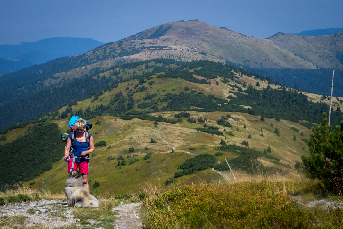 Z Hiadeľského sedla na útulňu Ďurková (Nízke Tatry)