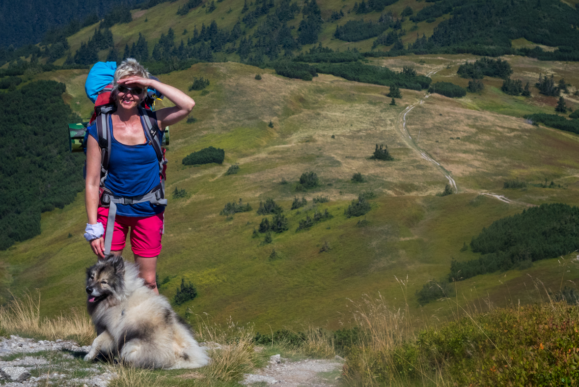 Z Hiadeľského sedla na útulňu Ďurková (Nízke Tatry)