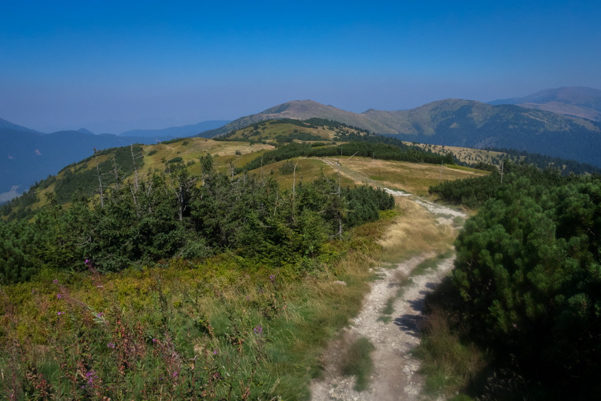 Z Hiadeľského sedla na útulňu Ďurková (Nízke Tatry)