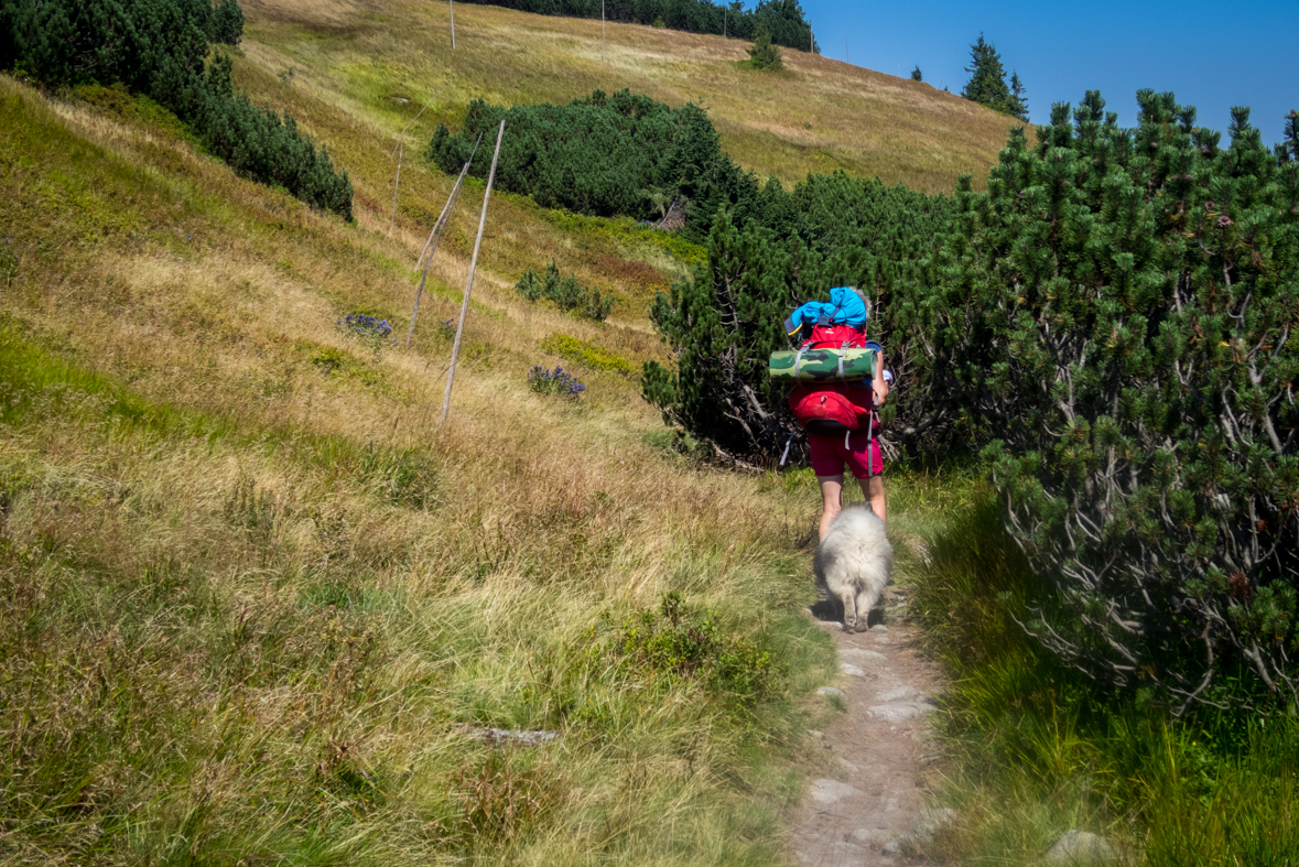 Z Hiadeľského sedla na útulňu Ďurková (Nízke Tatry)