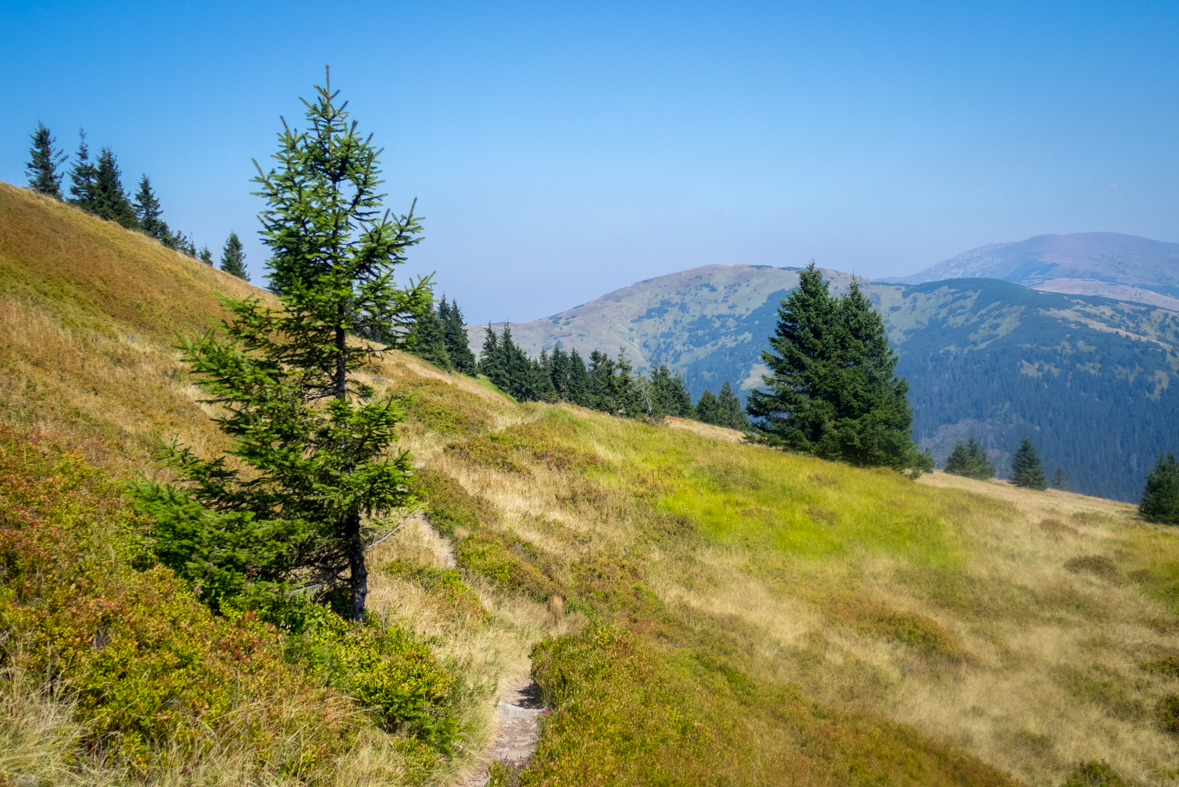 Z Hiadeľského sedla na útulňu Ďurková (Nízke Tatry)