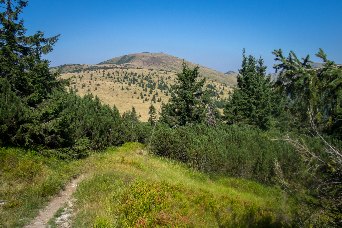 Z Hiadeľského sedla na útulňu Ďurková (Nízke Tatry)