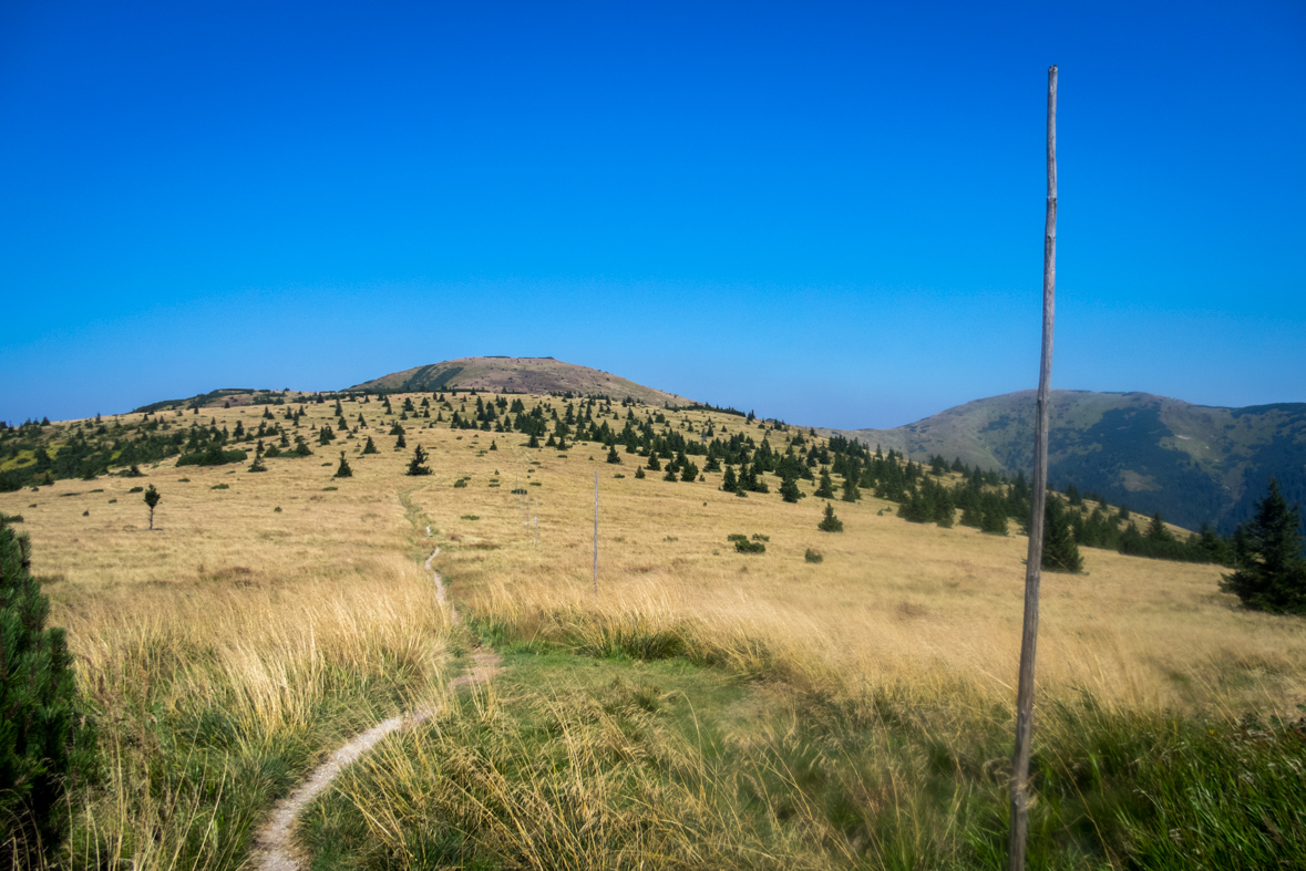 Z Hiadeľského sedla na útulňu Ďurková (Nízke Tatry)