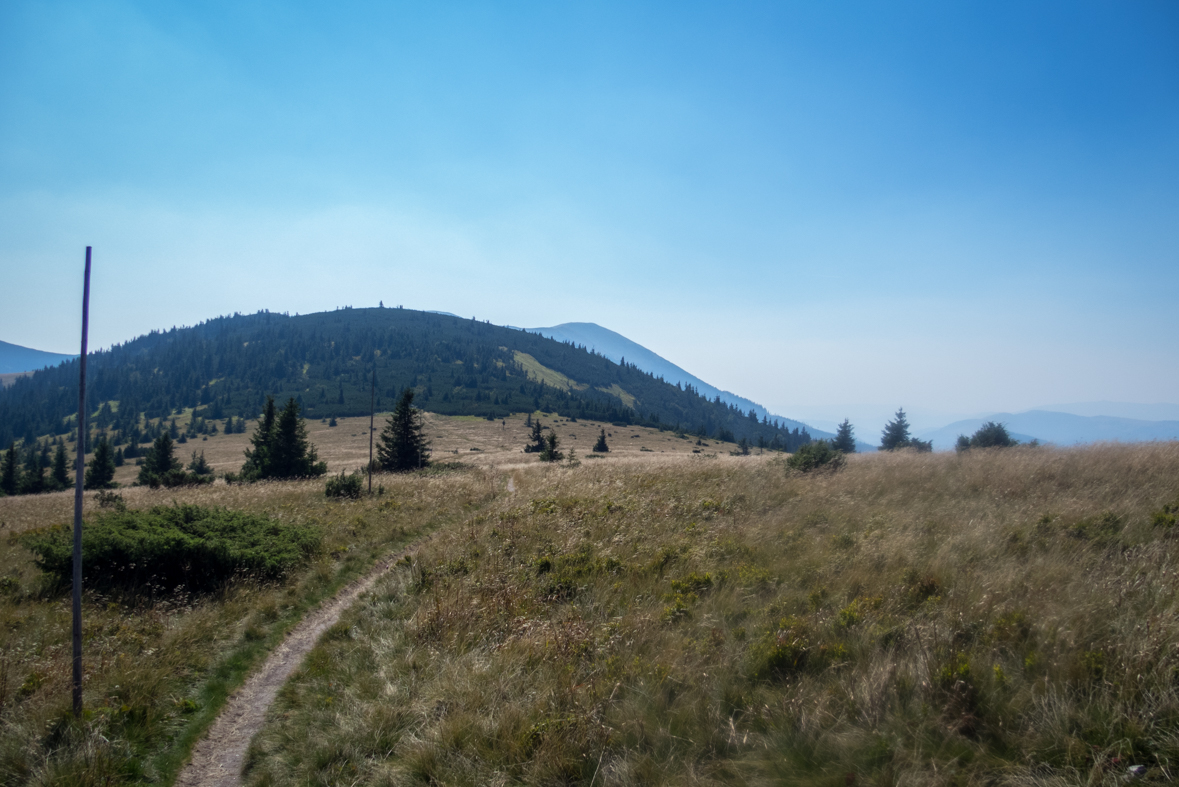 Z Hiadeľského sedla na útulňu Ďurková (Nízke Tatry)