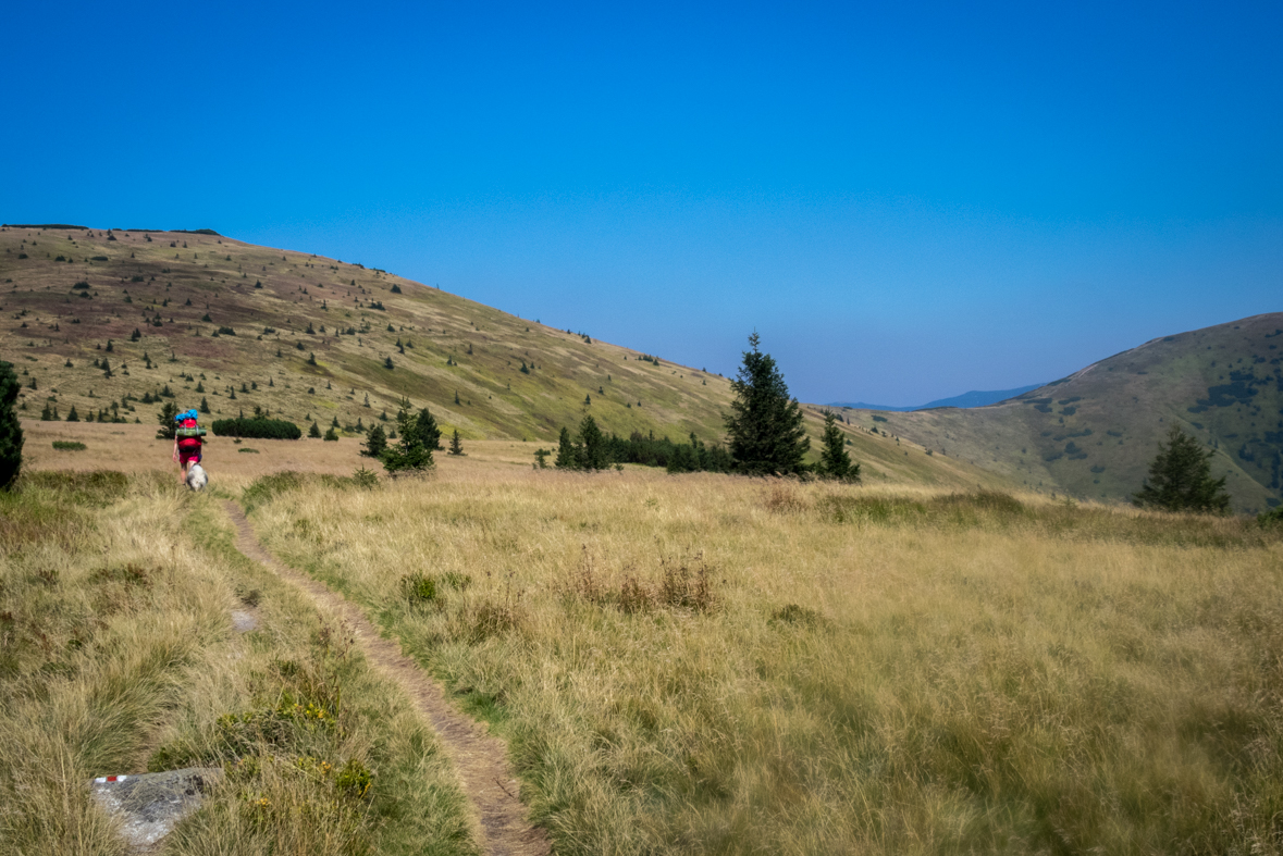 Z Hiadeľského sedla na útulňu Ďurková (Nízke Tatry)