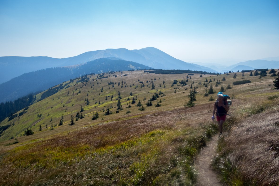 Z Hiadeľského sedla na útulňu Ďurková (Nízke Tatry)