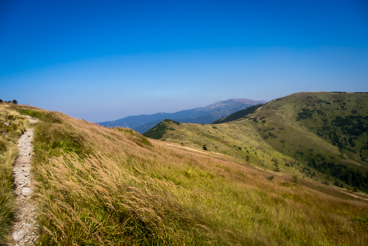 Z Hiadeľského sedla na útulňu Ďurková (Nízke Tatry)