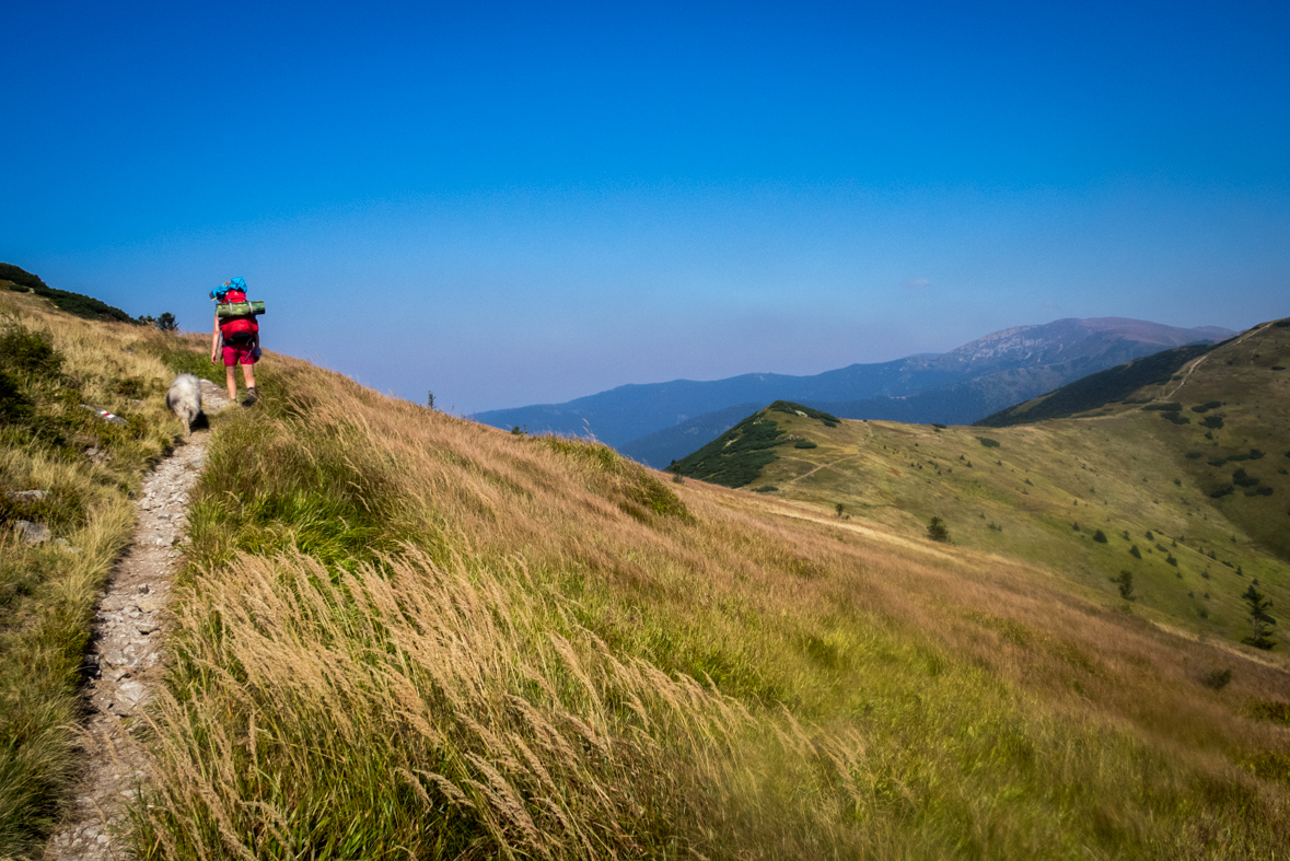 Z Hiadeľského sedla na útulňu Ďurková (Nízke Tatry)