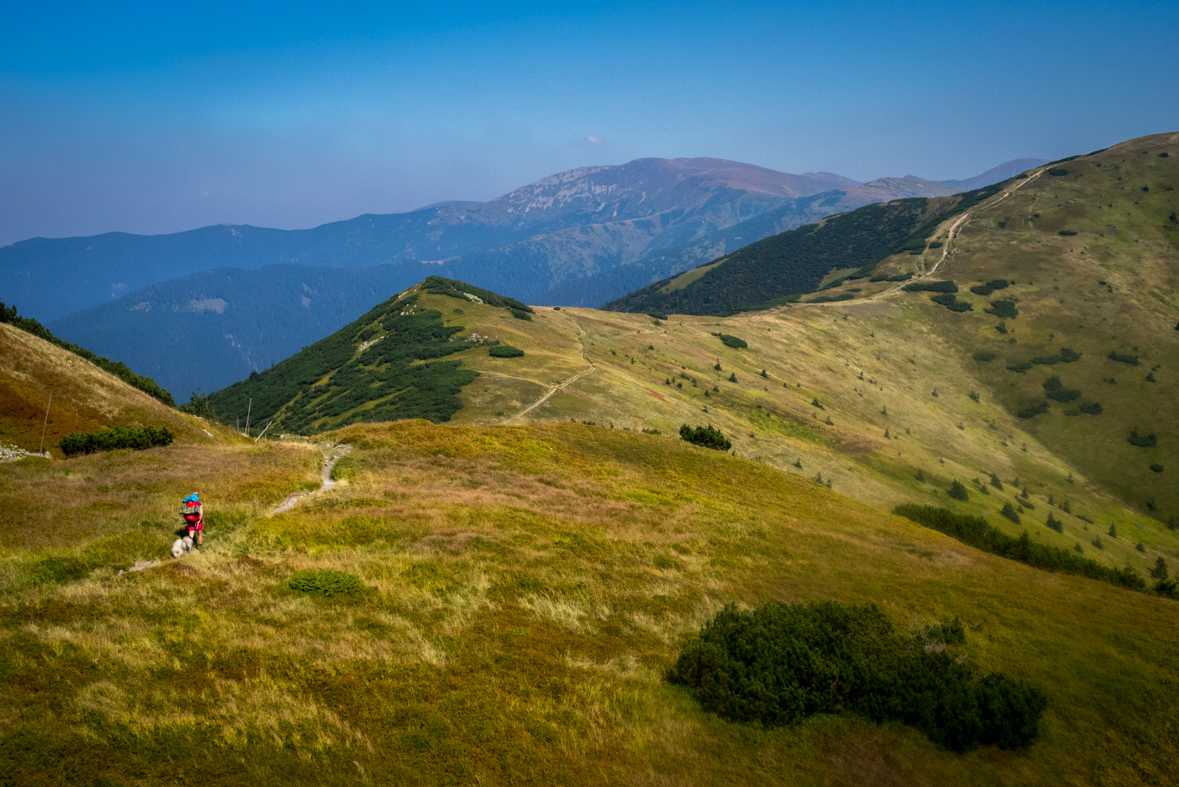 Z Hiadeľského sedla na útulňu Ďurková (Nízke Tatry)