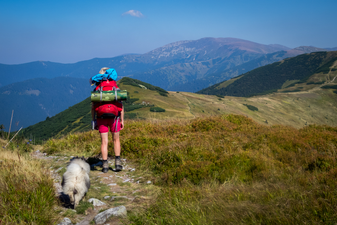 Z Hiadeľského sedla na útulňu Ďurková (Nízke Tatry)