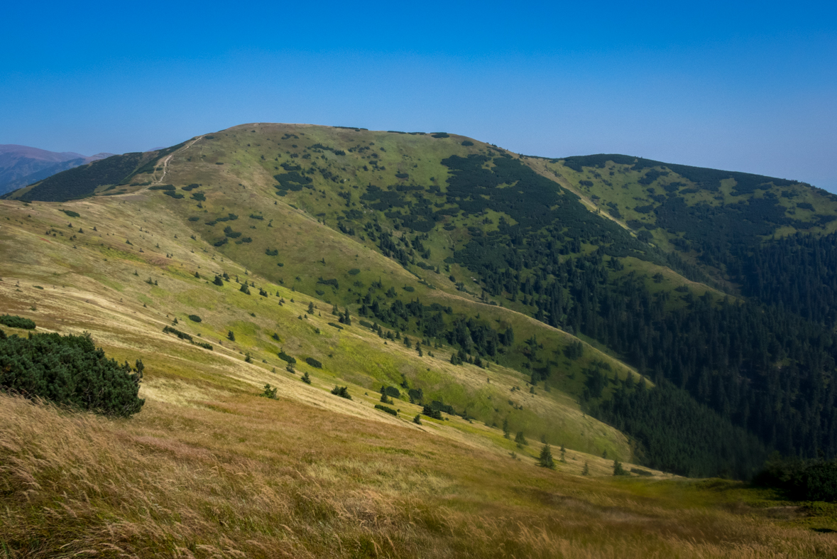 Z Hiadeľského sedla na útulňu Ďurková (Nízke Tatry)