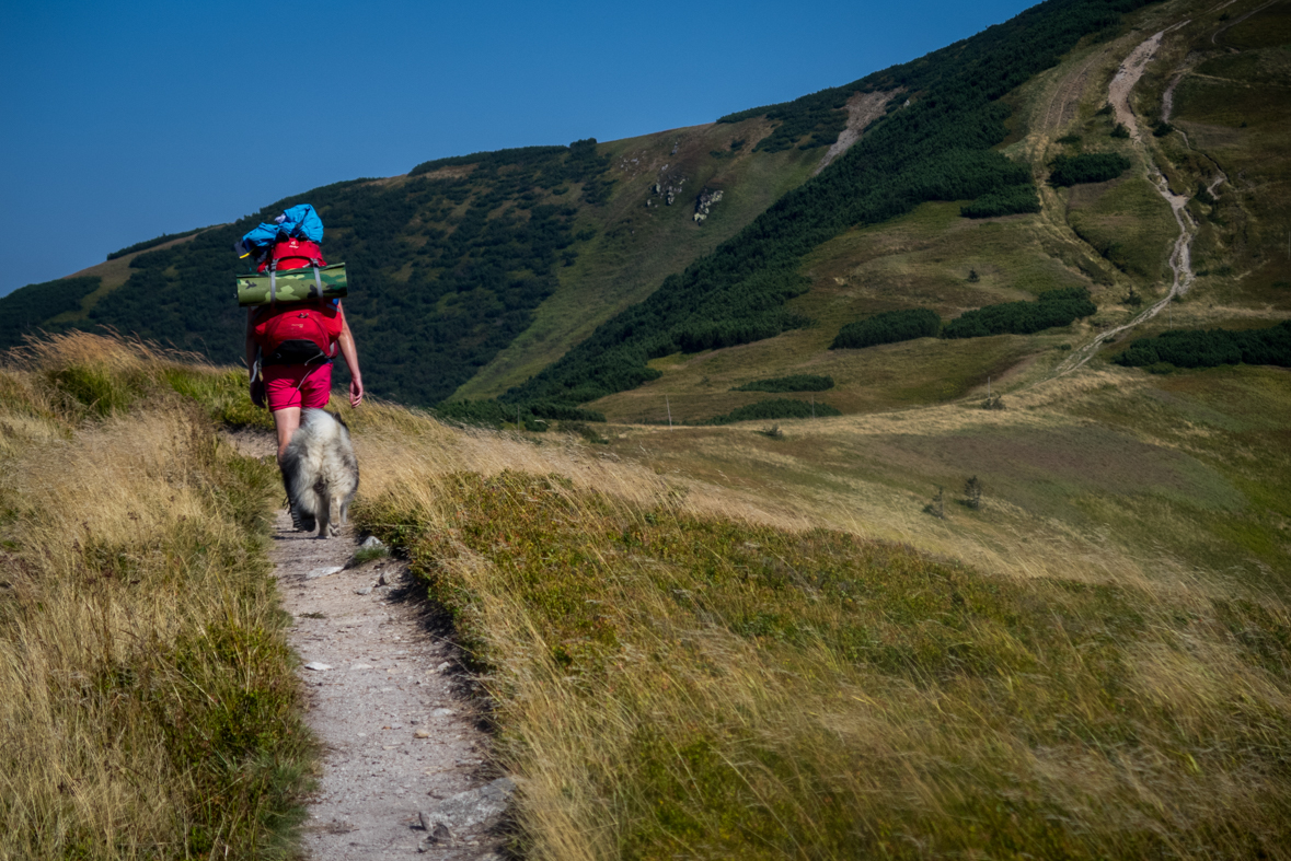 Z Hiadeľského sedla na útulňu Ďurková (Nízke Tatry)