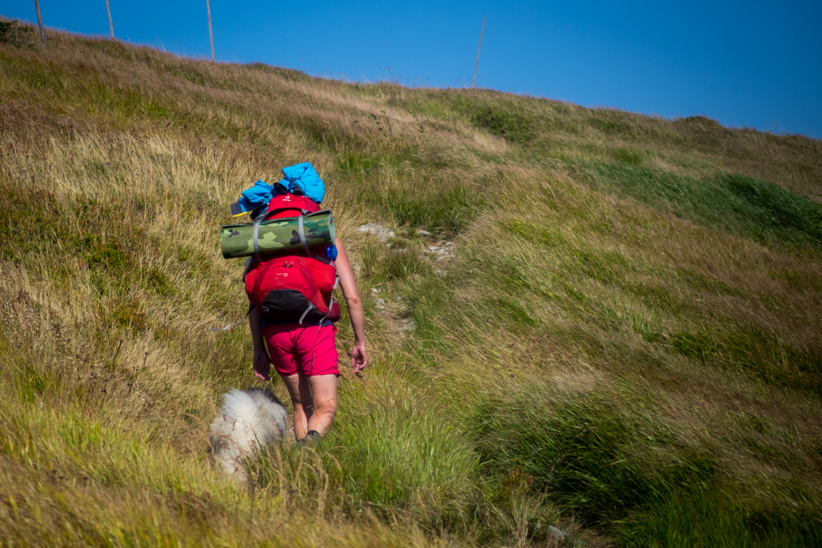 Z Hiadeľského sedla na útulňu Ďurková (Nízke Tatry)