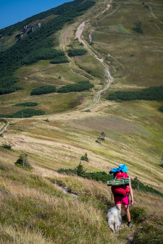 Z Hiadeľského sedla na útulňu Ďurková (Nízke Tatry)